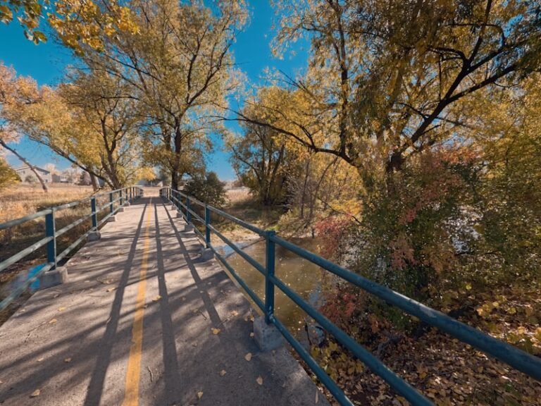 Photo of Dubbo Tracker Riley Cycleway, accessible venue
