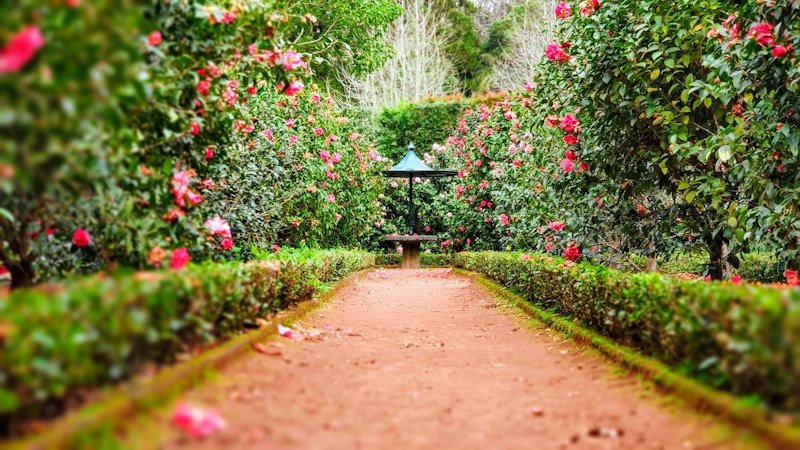Photo of Orange Botanic Gardens