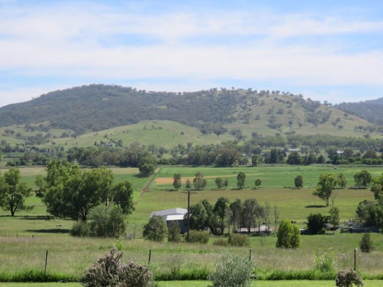 Photo of Pinnacle Lookout, accessible venue