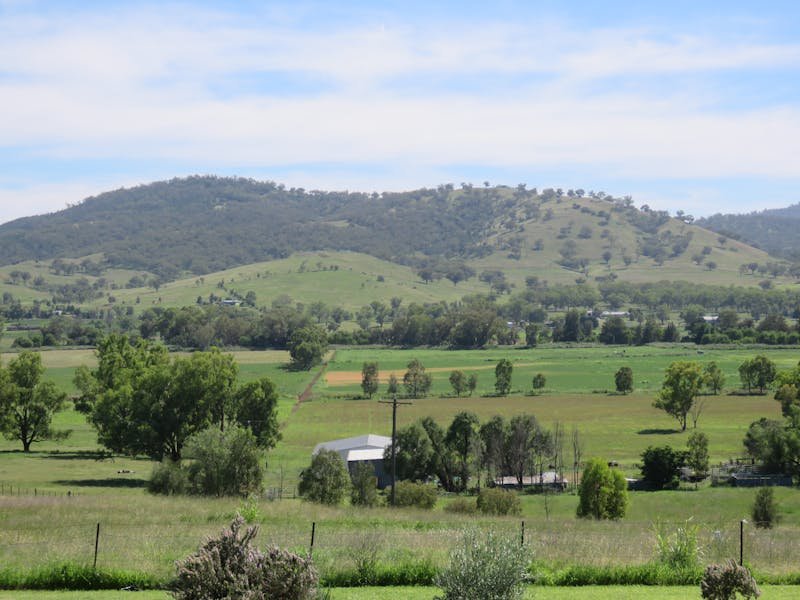 Photo of Pinnacle Lookout