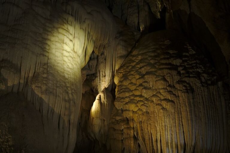 Photo of Borenore Karst Conservation Area, accessible venue
