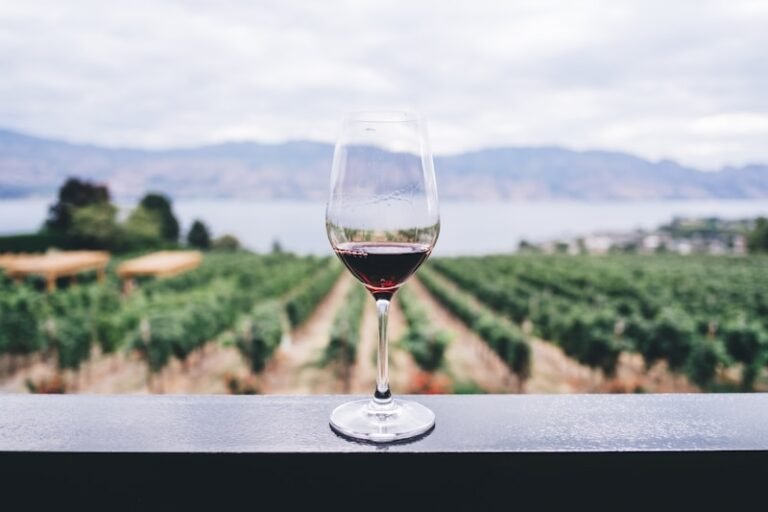 Photo of Hunter Valley Accessible Wine Tours, accessible venue