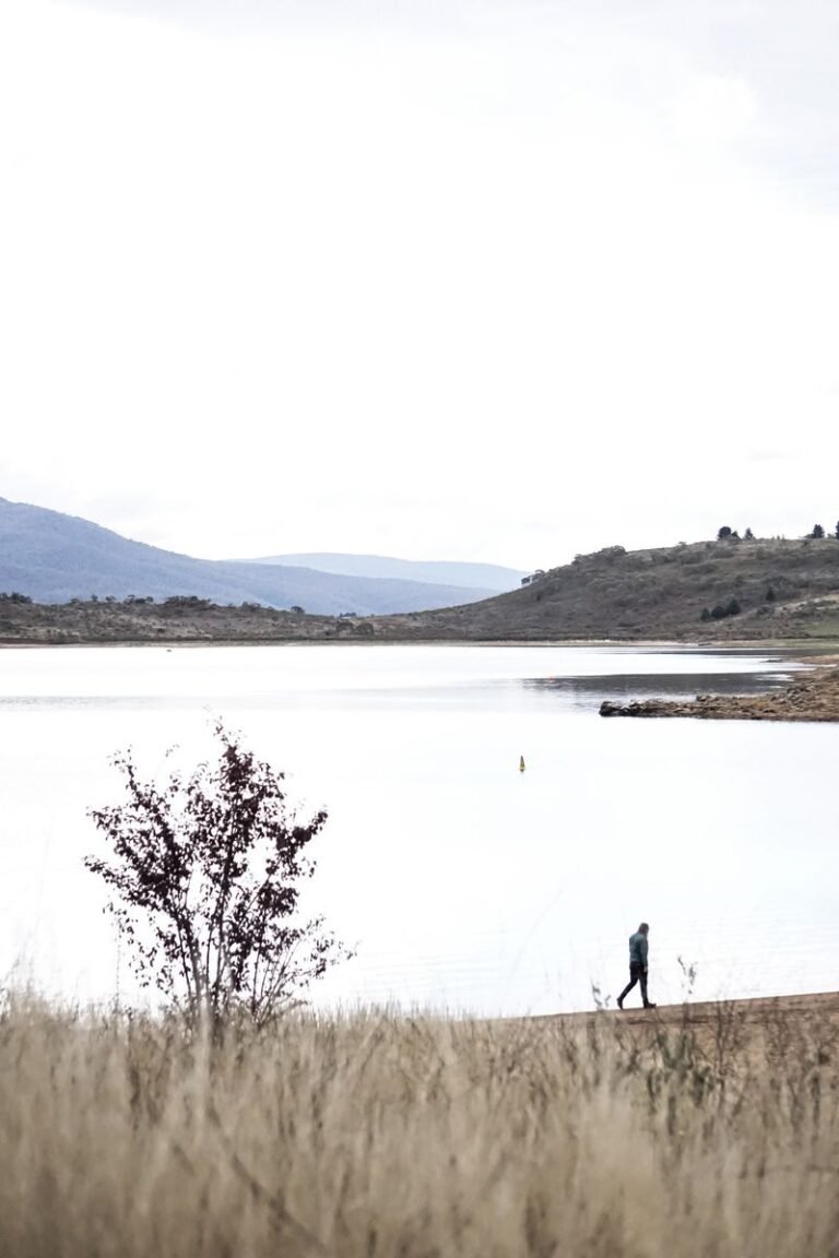 Photo of Lake Canobolas Reserve, accessible venue