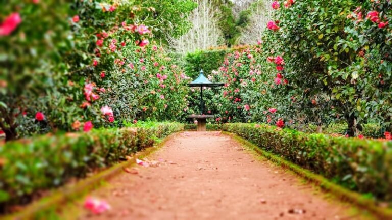 Photo of Orange Botanic Gardens, accessible venue