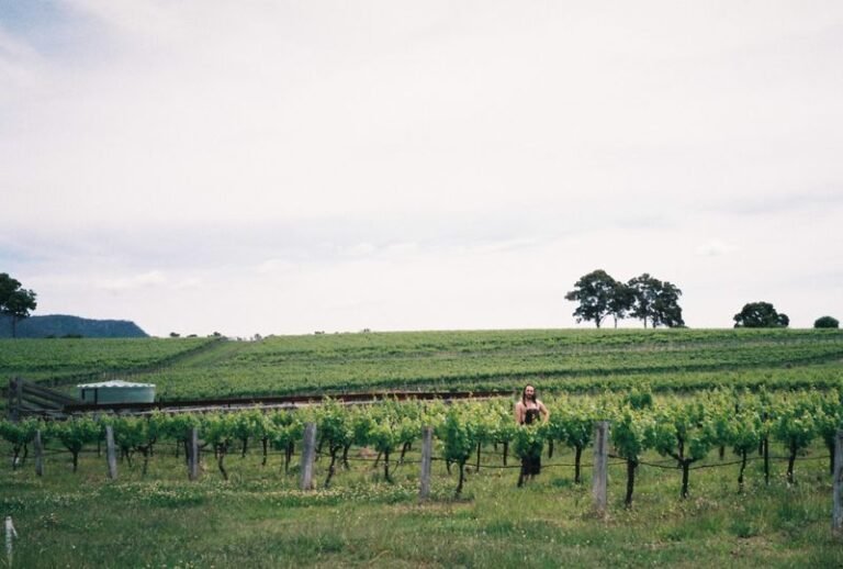 Photo of Orange Wine Tours, accessible venue